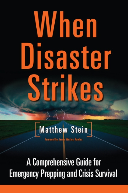 E-kniha When Disaster Strikes Matthew Stein
