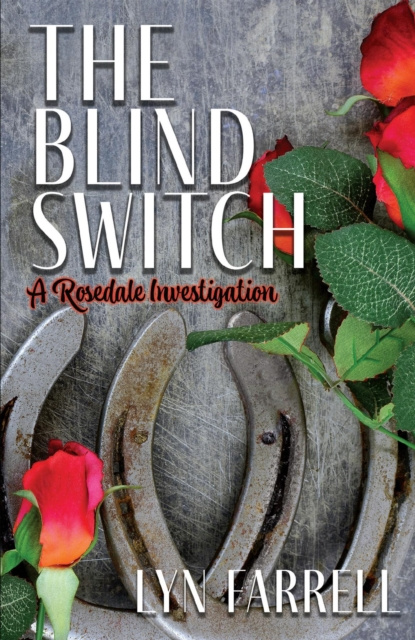 E-knjiga Blind Switch Lyn Farrrell