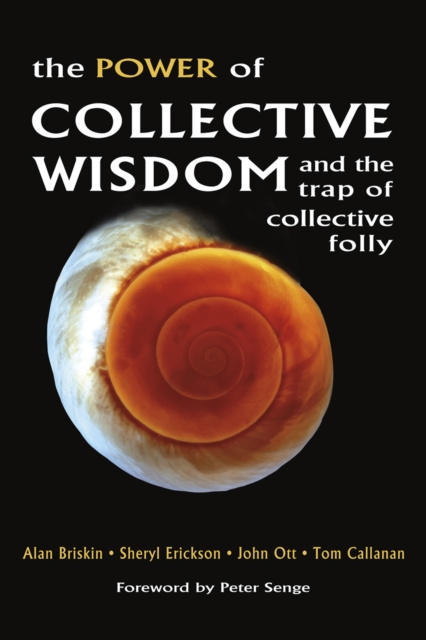 E-kniha Power of Collective Wisdom Alan Briskin