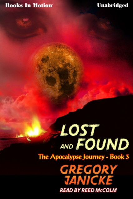 Luisterboek Lost And Found Gregory Janicke