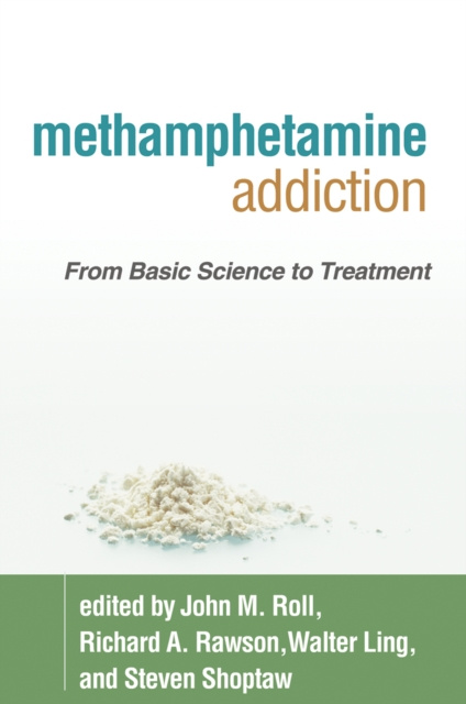E-book Methamphetamine Addiction John M. Roll