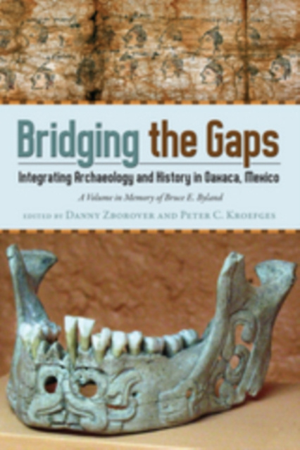 E-knjiga Bridging the Gaps Zborover Danny Zborover