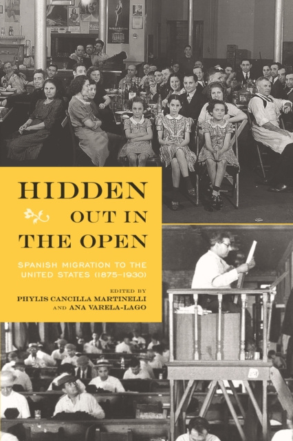 E-Book Hidden Out in the Open Martinelli Phylis Cancilla Martinelli
