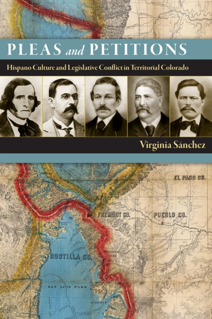E-knjiga Pleas and Petitions Sanchez Virginia Sanchez