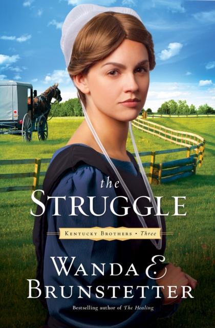 E-knjiga Struggle Wanda E. Brunstetter