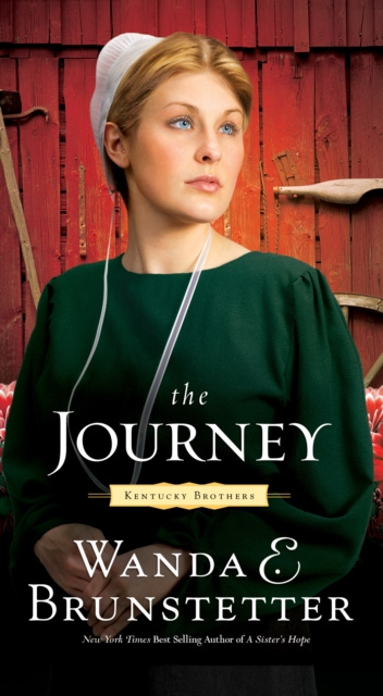 E-knjiga Journey Wanda E. Brunstetter