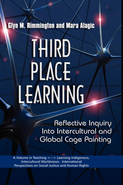 E-knjiga Third Place Learning Glyn M Rimmington