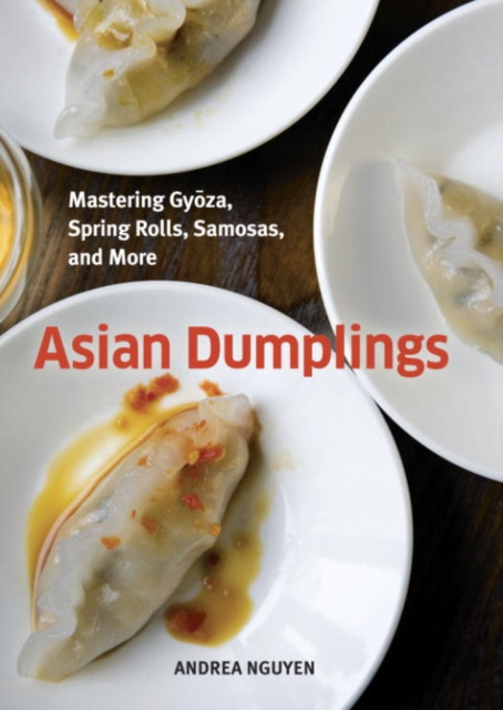 E-Book Asian Dumplings Andrea Nguyen