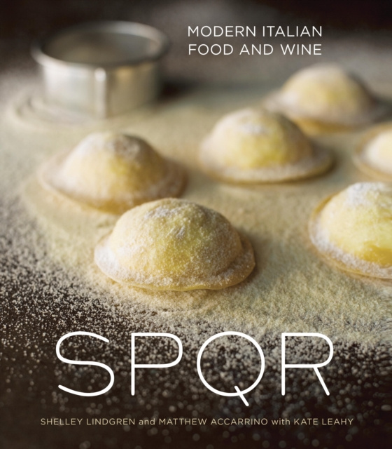 E-knjiga SPQR Shelley Lindgren