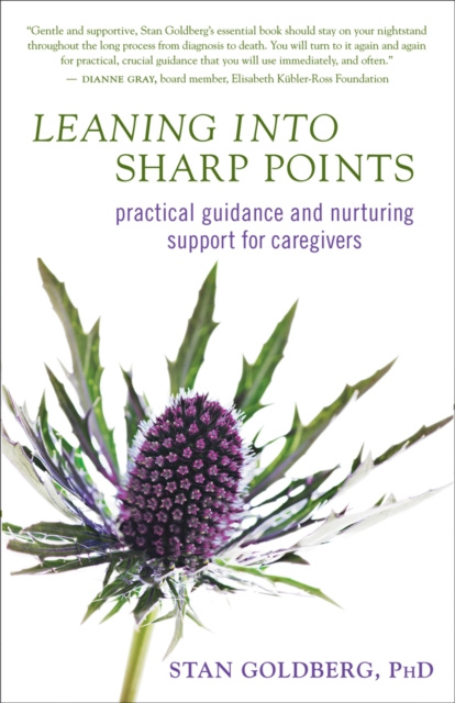 E-knjiga Leaning into Sharp Points Stan Goldberg PhD