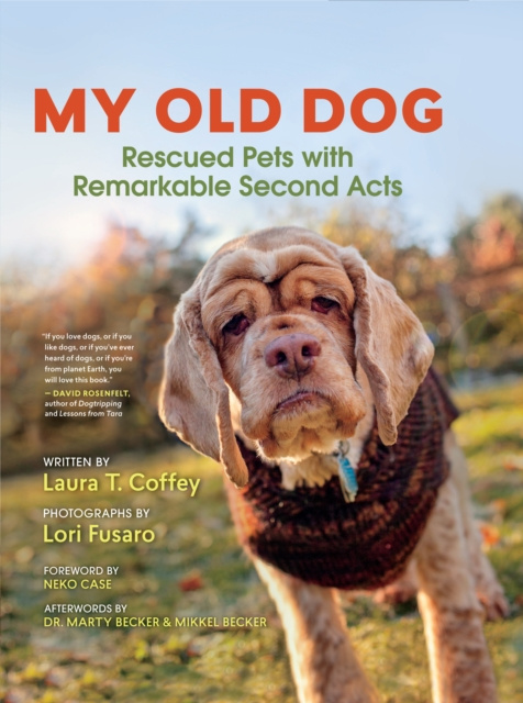 E-Book My Old Dog Laura T. Coffey