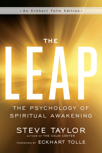 E-knjiga Leap Steve Taylor