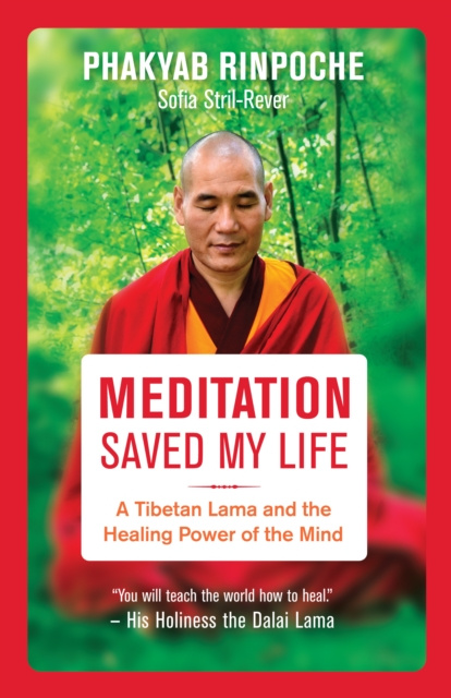 Libro electrónico Meditation Saved My Life Phakyab Rinpoche