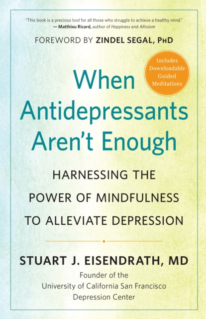 E-kniha When Antidepressants Aren't Enough Stuart J. Eisendrath
