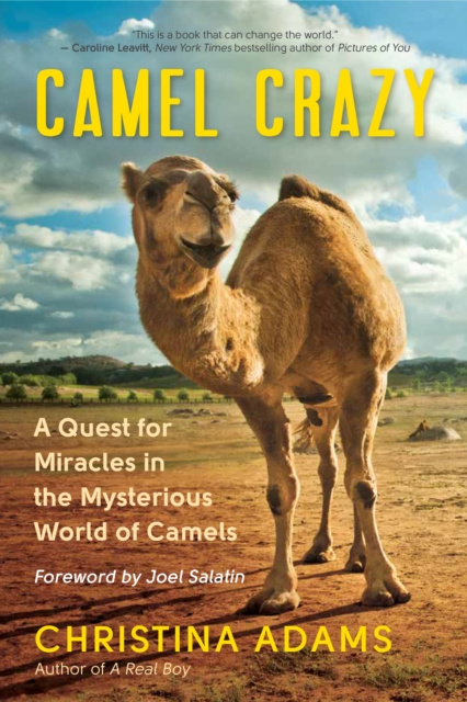 E-kniha Camel Crazy Christina Adams