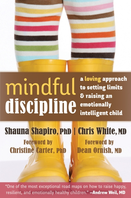 E-kniha Mindful Discipline Shauna Shapiro