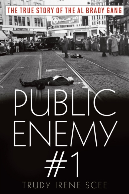 E-book Public Enemy Number One Trudy Irene Scee