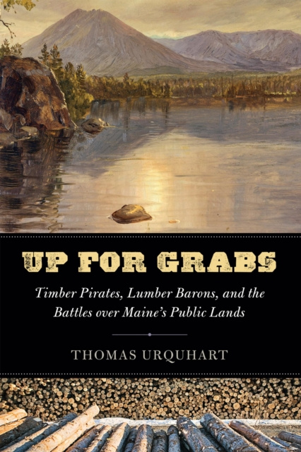 E-knjiga Up for Grabs Thomas Urquhart