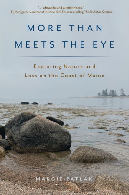E-knjiga More Than Meets the Eye Margie Patlak
