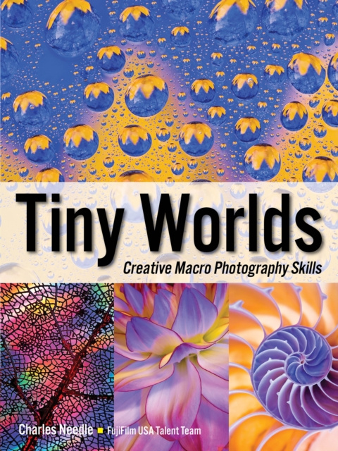 E-knjiga Tiny Worlds Charles Needle