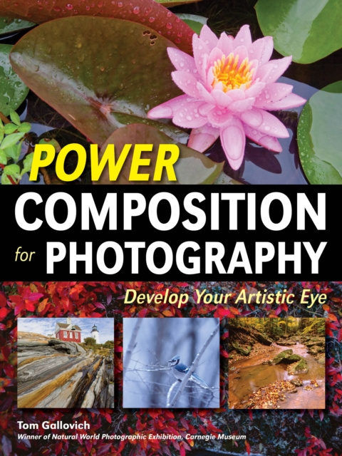 E-knjiga Power Composition for Photography Tom Gallovich