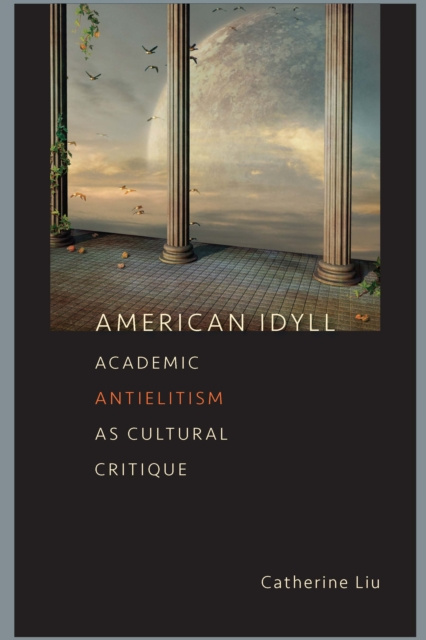E-knjiga American Idyll Liu Catherine Liu