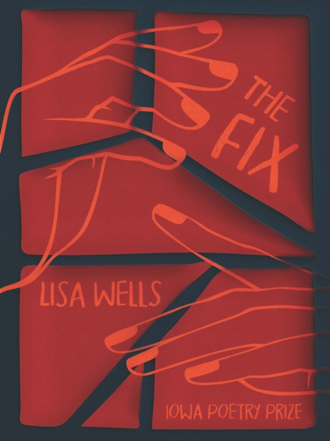E-knjiga Fix Wells Lisa Wells