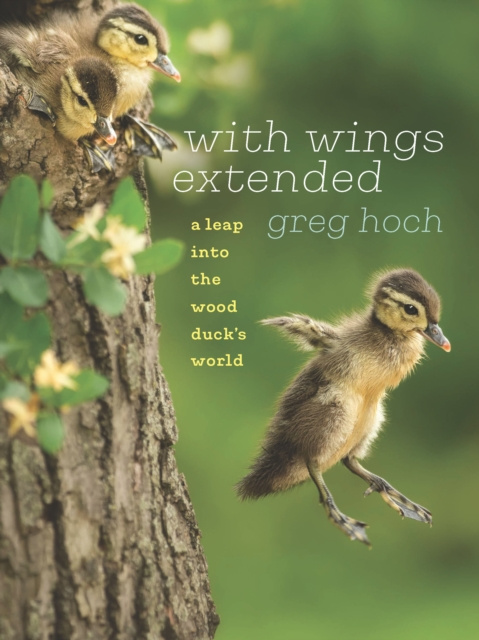 E-book With Wings Extended Hoch Greg Hoch