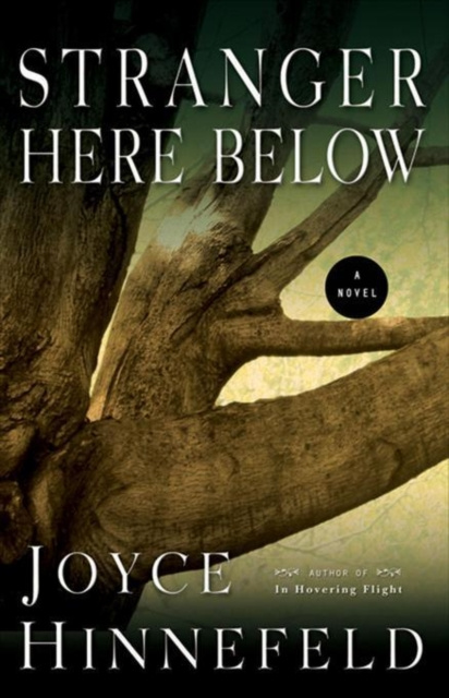 E-book Stranger Here Below Joyce Hinnefeld