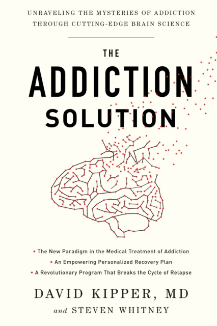 E-book Addiction Solution David Kipper