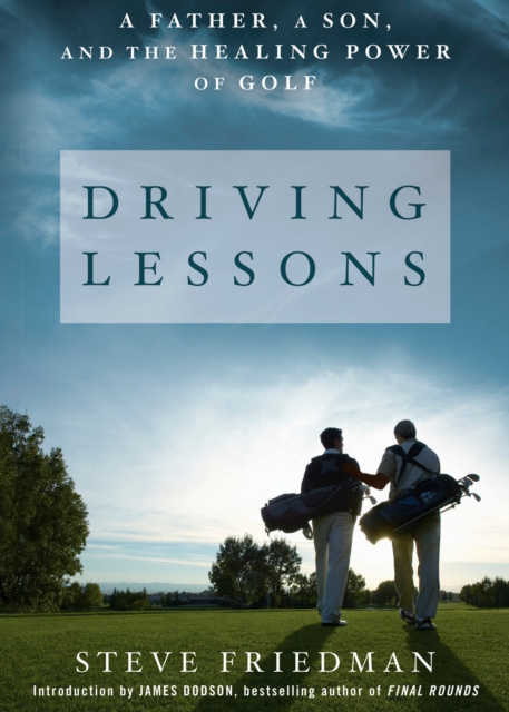 E-kniha Driving Lessons Steve Friedman