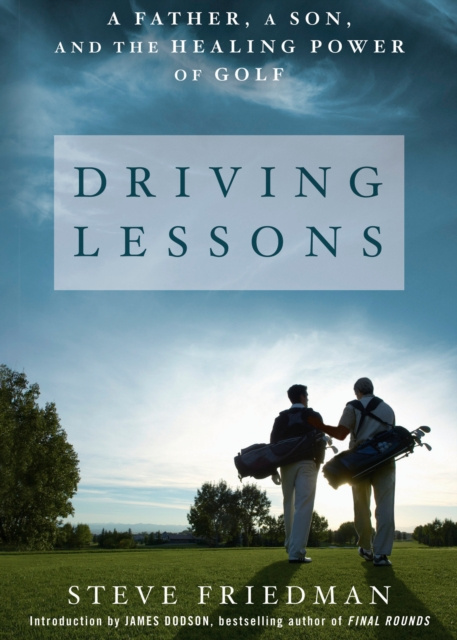E-book Driving Lessons Steve Friedman