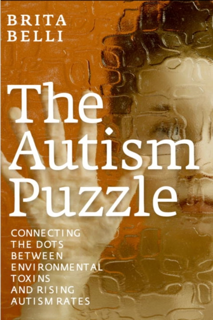 E-knjiga Autism Puzzle Brita Belli