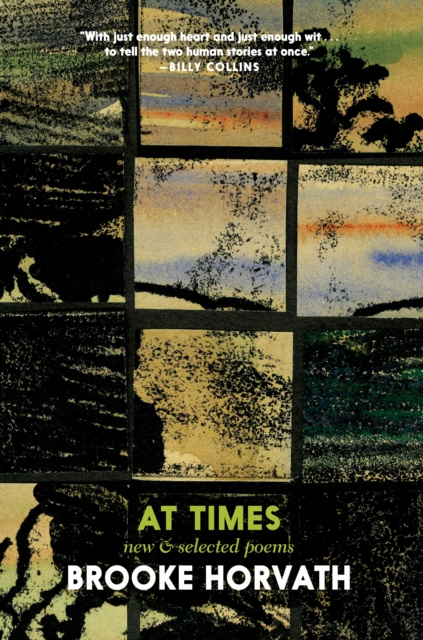 E-Book At Times Brooke Horvath