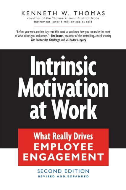 E-knjiga Intrinsic Motivation at Work Kenneth W. Thomas