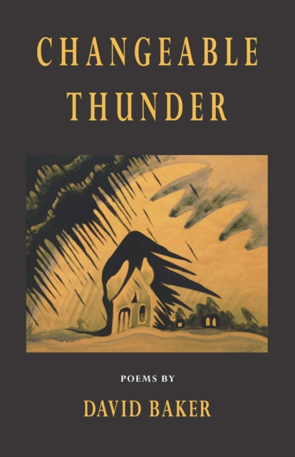 E-knjiga Changeable Thunder Baker David Baker