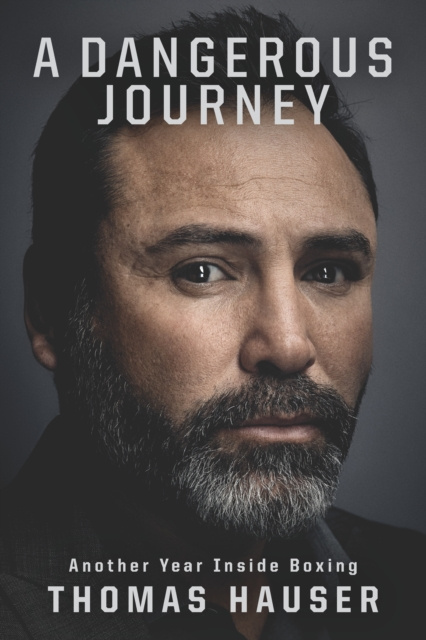 E-book Dangerous Journey Hauser Thomas Hauser