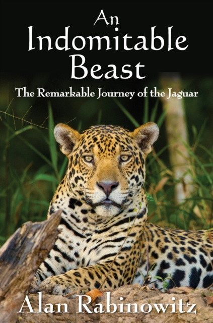 E-book Indomitable Beast Rabinowitz Alan Rabinowitz