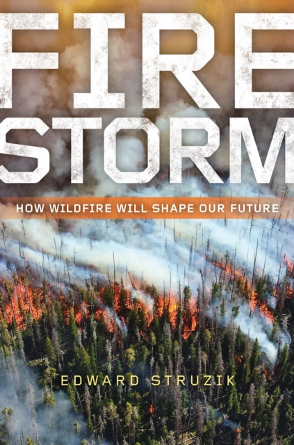 E-knjiga Firestorm Struzik Edward Struzik
