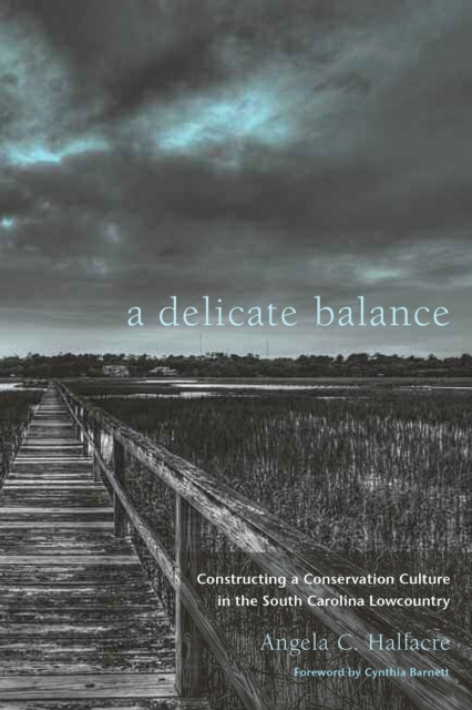 E-book Delicate Balance Angela C. Halfacre