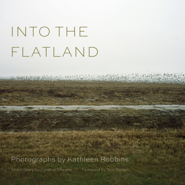 E-Book Into the Flatland Kathleen Robbins