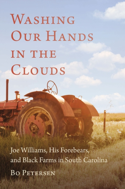 E-book Washing Our Hands in the Clouds Bo Petersen