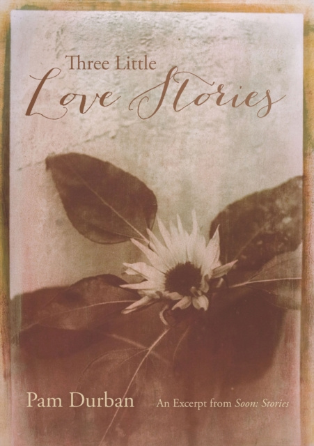 ebook Three Little Love Stories Pam Durban