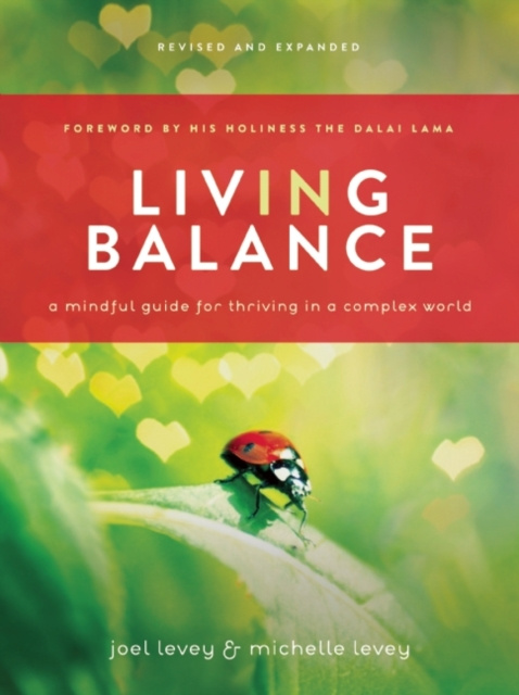 E-kniha Living in Balance Joel Levey