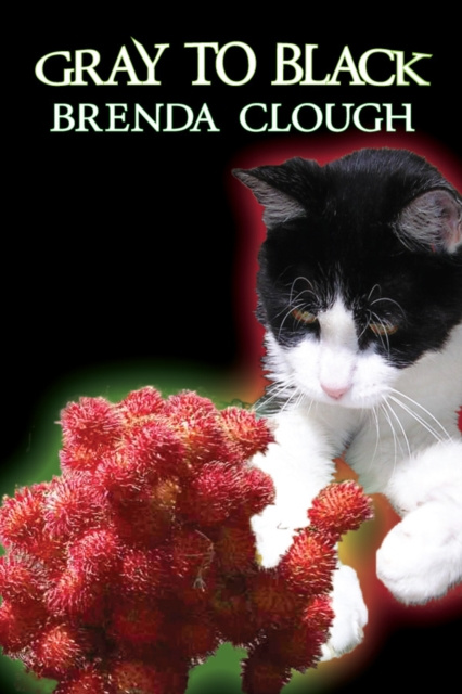 E-book Gray to Black Brenda W Clough