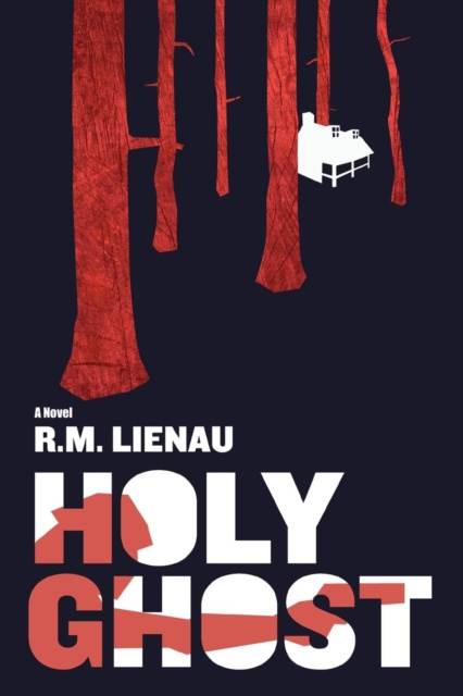 E-knjiga Holy Ghost Richard M. Lienau