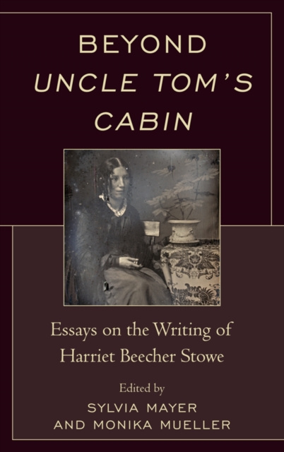 E-book Beyond Uncle Tom's Cabin Sylvia Mayer