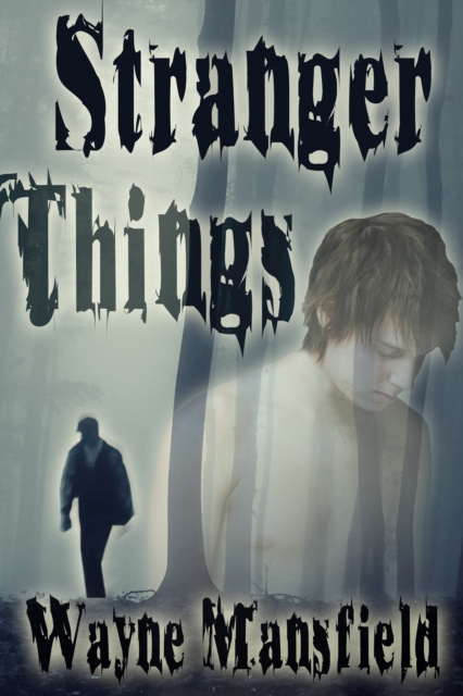 E-knjiga Stranger Things Wayne Mansfield