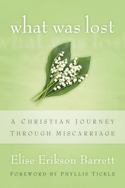 E-knjiga What Was Lost Elise Erikson Barrett
