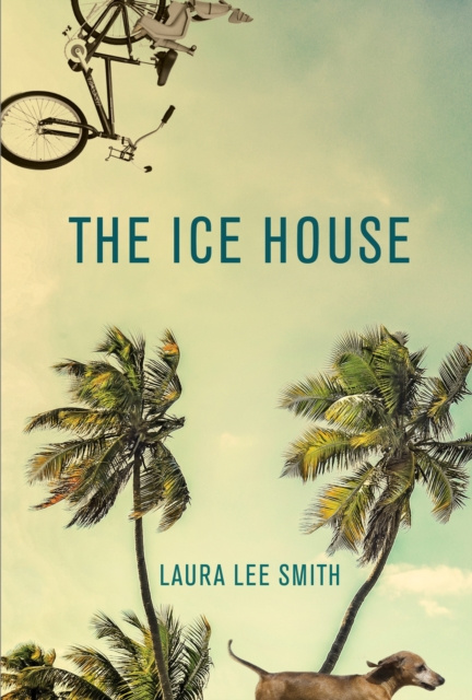 E-knjiga Ice House Laura Lee Smith